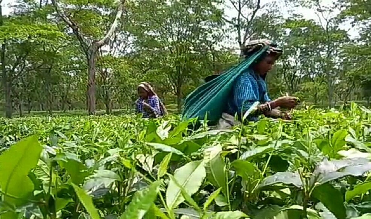 बकाया पीएफ की मांग में श्रमिकों ने सौंपा ज्ञापन