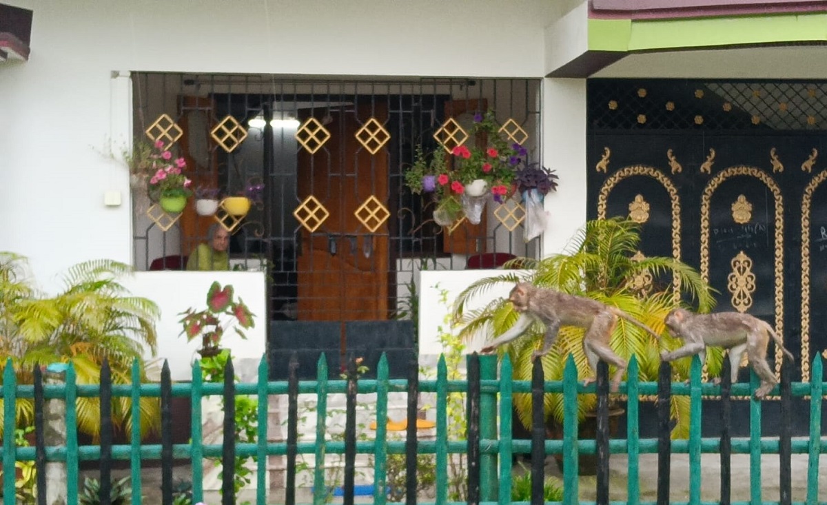 जलपाईगुड़ी में ऑपरेशन मैंगो हुआ शुरू