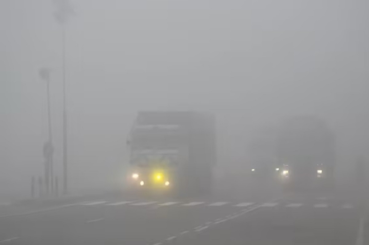 घने कोहरे की चादर में लिपटा डुआर्स, नेशनल हाईवे पर हेडलाइट जलाकर रेंग रहे वाहन